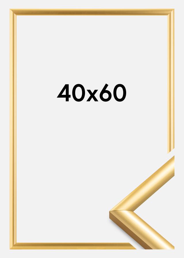 Okvir Trendstyle Zlata 40x60 cm