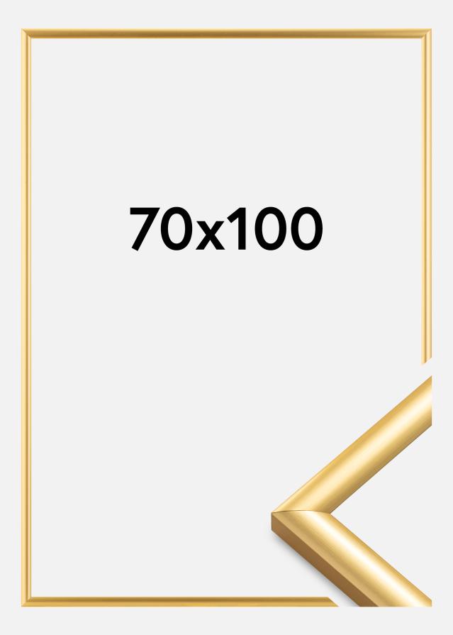 Okvir Trendstyle Zlata 70x100 cm