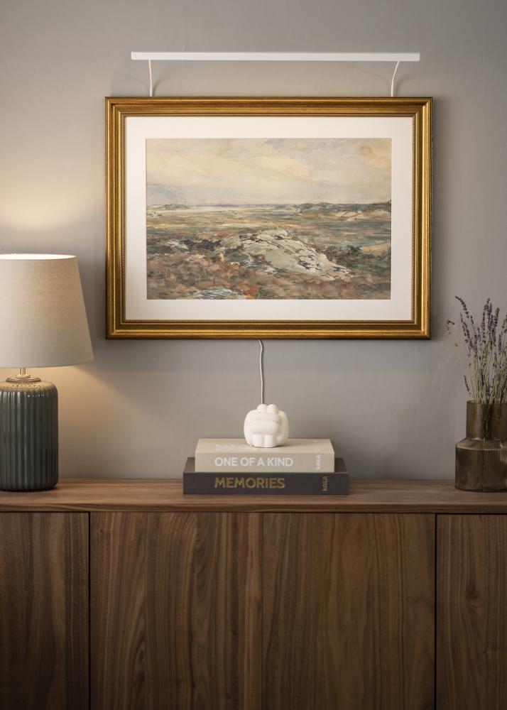 BLP 117 Osvetljava za slike 65 cm - Bela