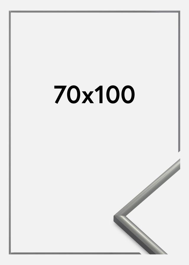 Okvir New Lifestyle Akrilno steklo Svetlo-siva 70x100 cm