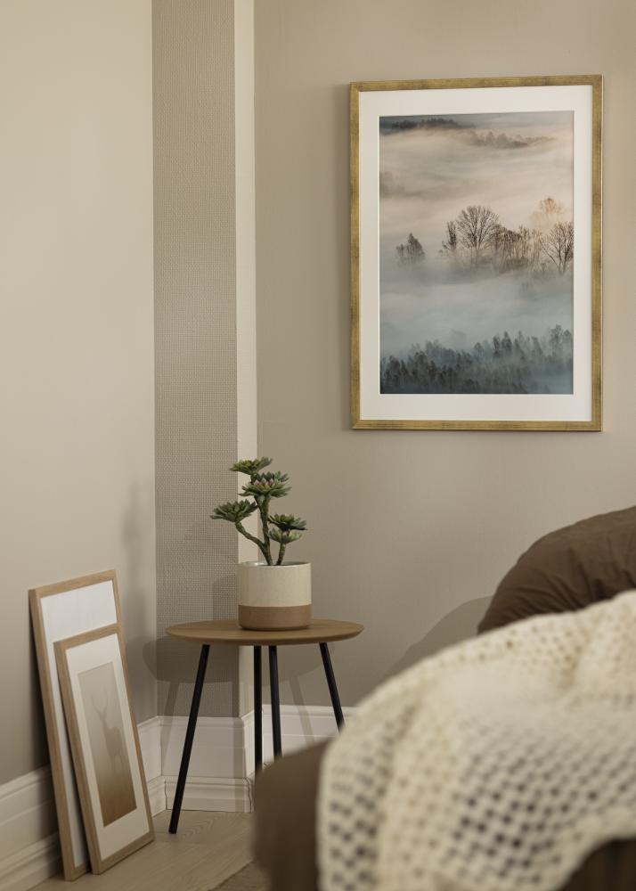 Okvir Eleganten Akrilno steklo Zlata 70x100 cm