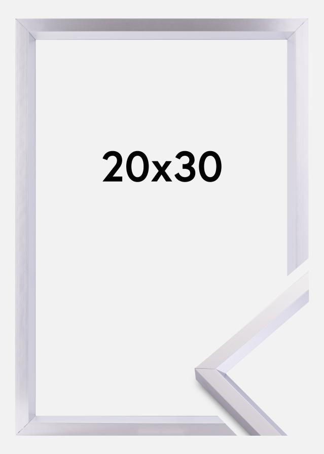 Okvir Steel Style Srebrna 20x30 cm