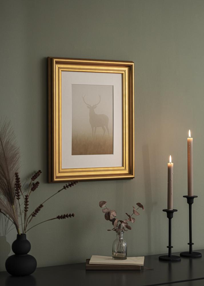 Okvir Mora Premium Zlata 33x95 cm