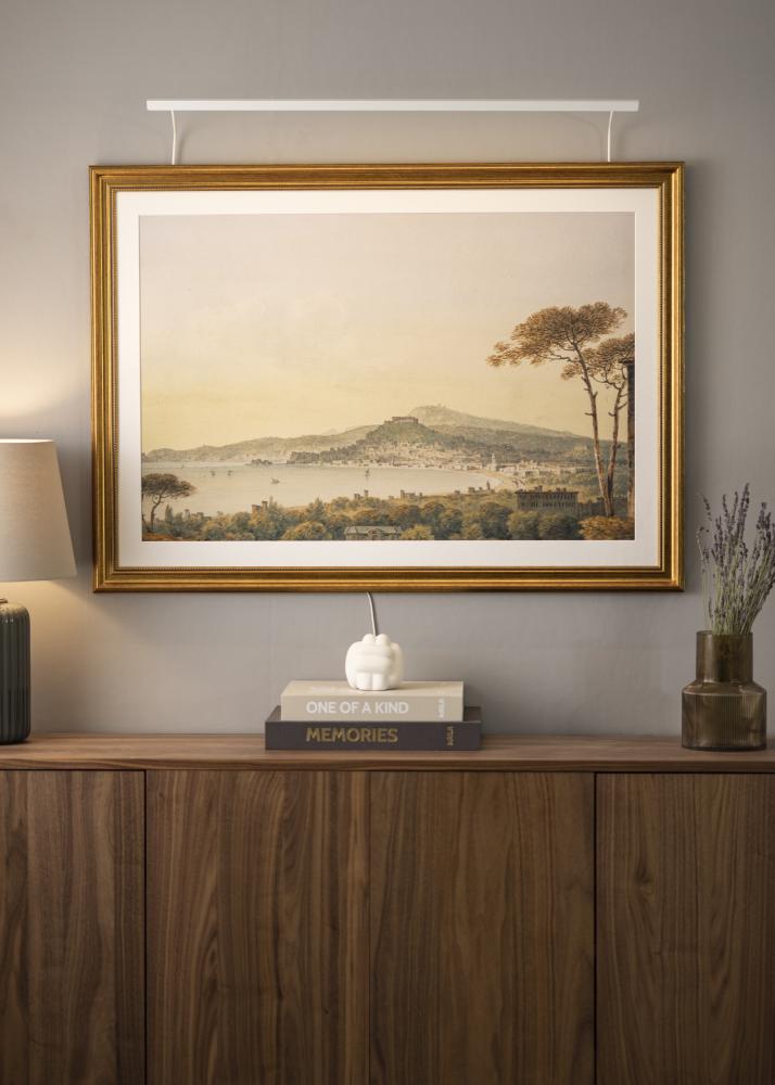 BLP 117 Osvetljava za slike 85 cm - Bela