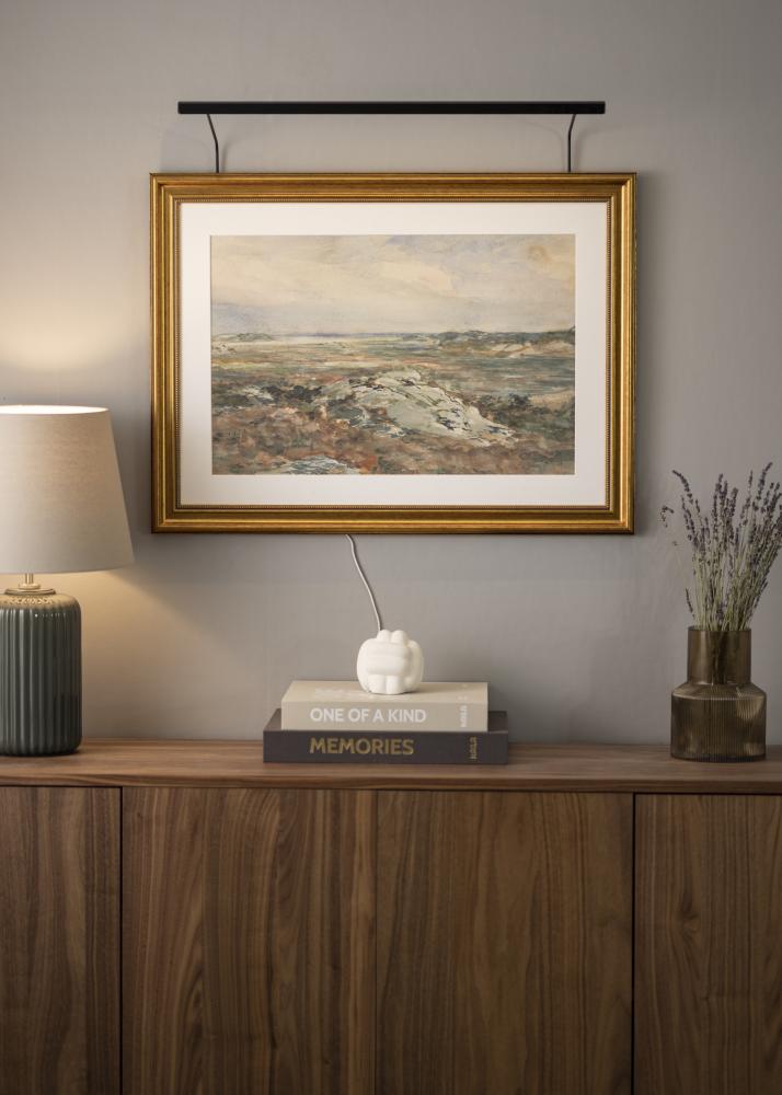 BLP 117 Osvetljava za slike 65 cm - Črna