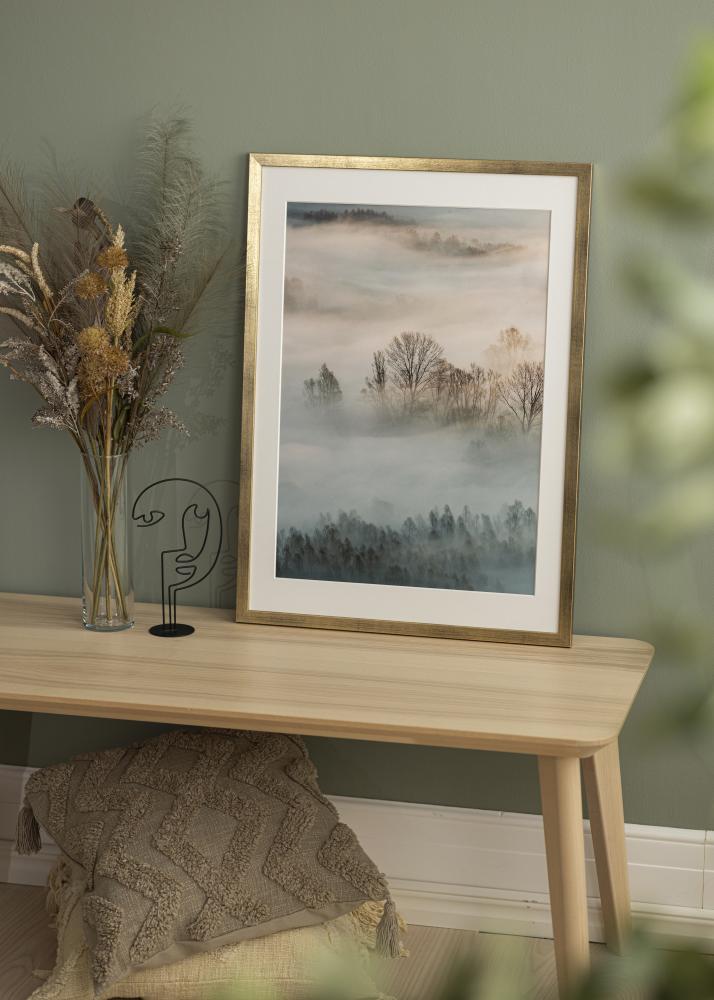 Okvir Eleganten Akrilno steklo Zlata 70x100 cm