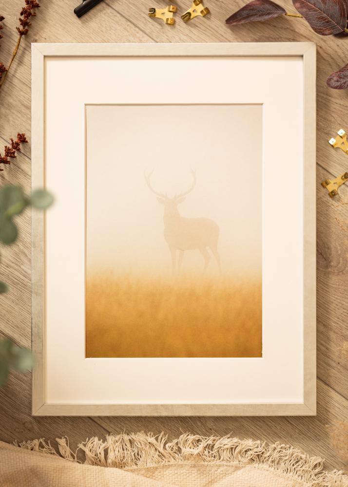 Okvir Ares Akrilno steklo Srebrna 30x45 cm