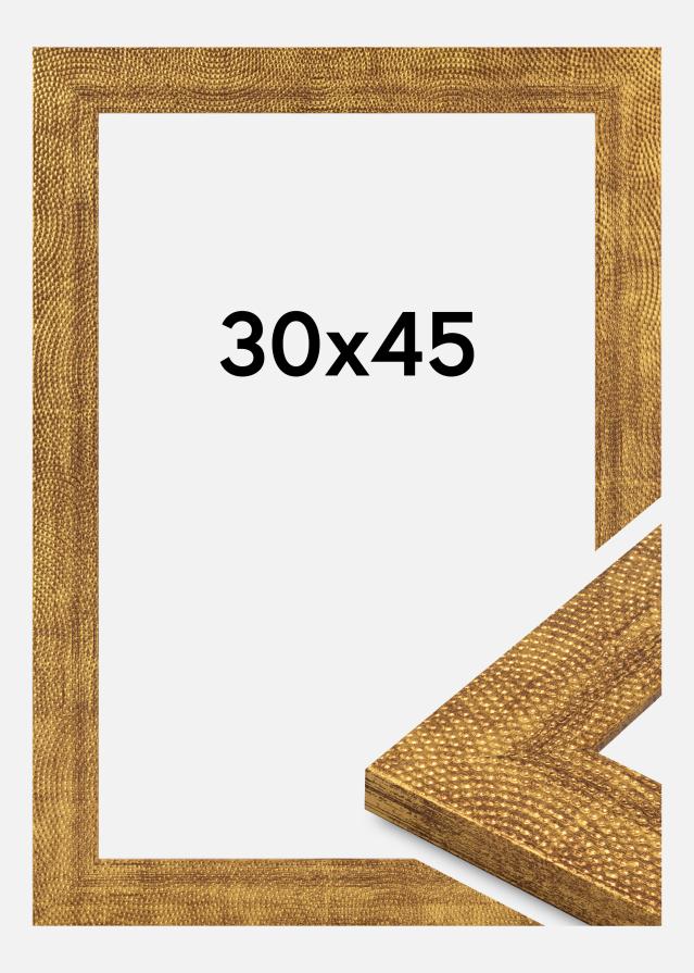 Okvir Linea Akrilno steklo Zlato 30x45 cm