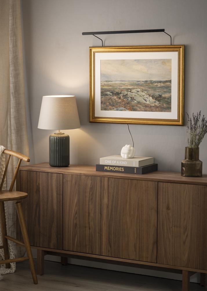 BLP 117 Osvetljava za slike 65 cm - Črna