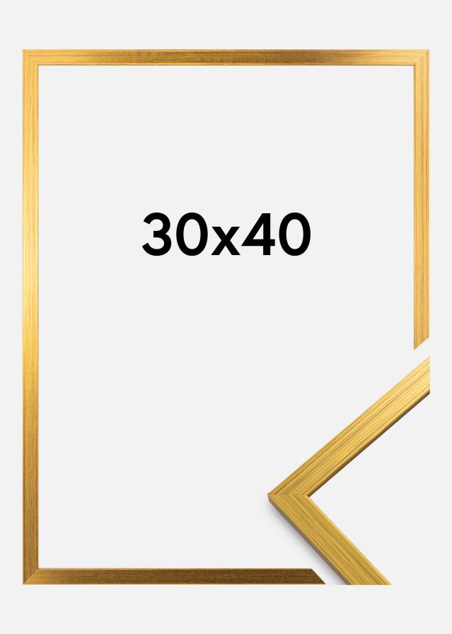 Okvir Edsbyn Akrilno steklo Zlata 30x40 cm