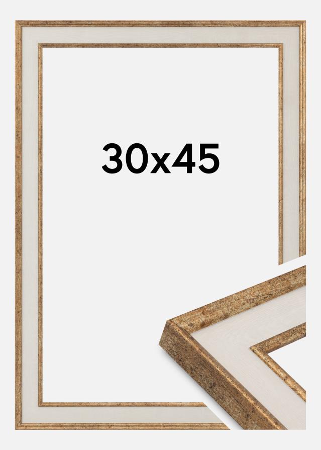 Okvir Dolly Akrilno steklo Zlato 30x45 cm