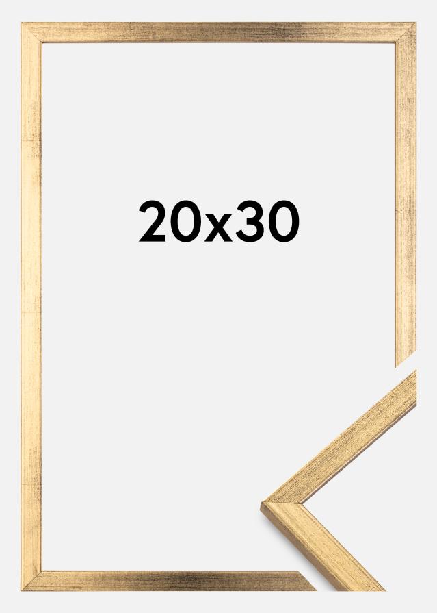 Okvir Galant Zlata 20x30 cm