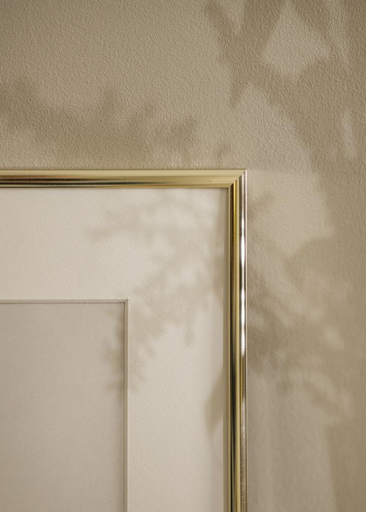 Okvir Aluminij Zlat sijaj 40x50 cm - Paspartŭ Bela 29,7x42 cm (A3)