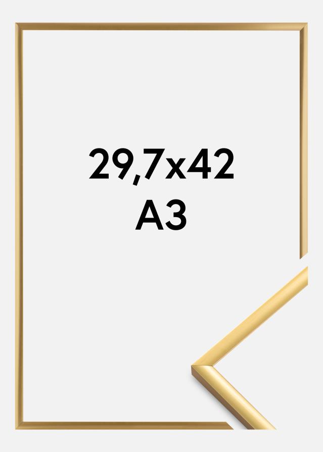 Okvir New Lifestyle Akrilno steklo Shiny Gold 29,7x42 cm (A3)