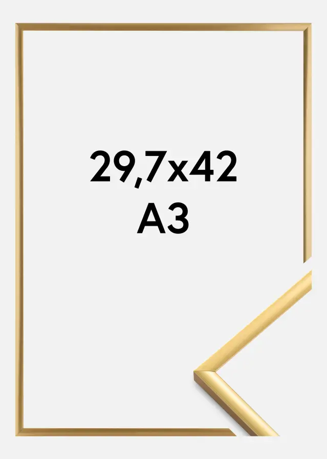 Okvir New Lifestyle Akrilno steklo Shiny Gold 29,7x42 cm (A3)