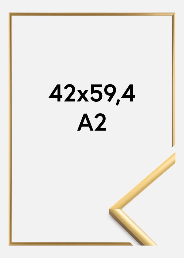 Okvir New Lifestyle Akrilno steklo Shiny Gold 42x59,4 cm (A2)