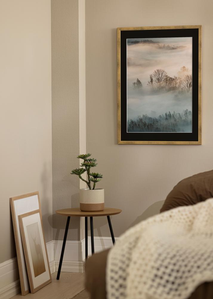 Okvir Eleganten Zlata 18x24 cm - Paspartŭ Črna 13x18 cm