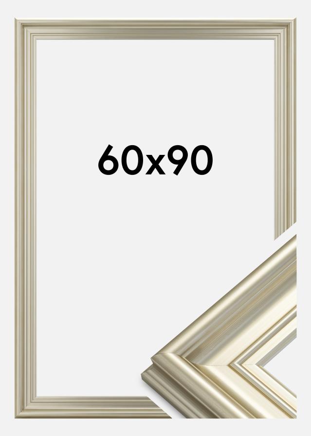 Okvir Mora Premium Srebrna 60x90 cm