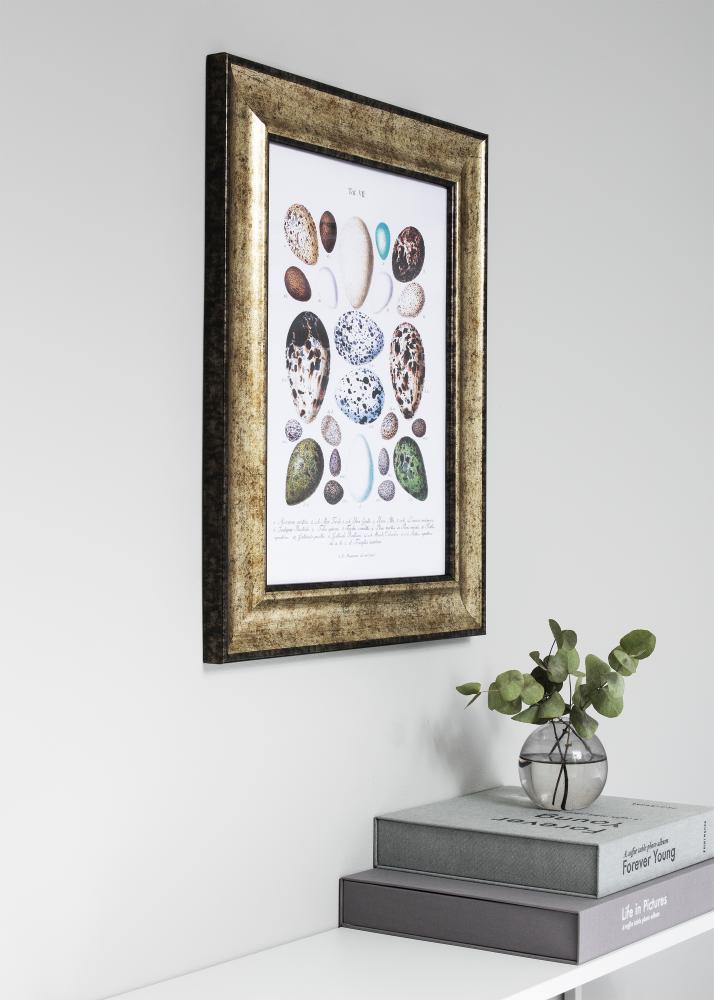 Okvir Saltsjöbaden Antično zlato 20x25 cm - Paspartŭ Črna 13x19,5 cm