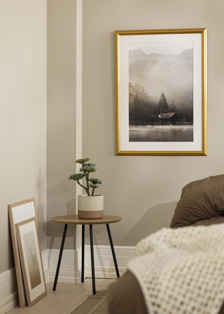 Okvir Västkusten Akrilno steklo Zlata 34x42 cm