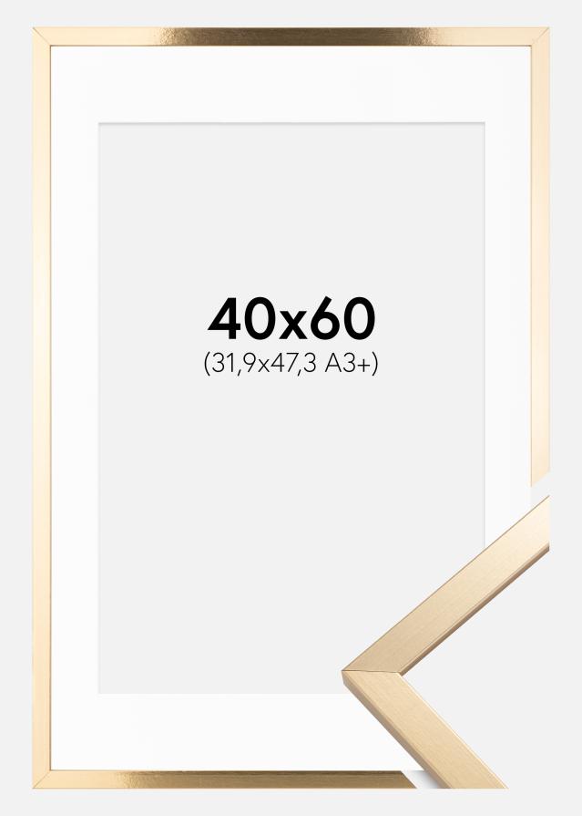 Okvir Trendy Zlata 40x60 cm - Paspartŭ Bela 32,9x48,3 cm (A3+)