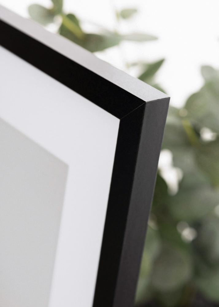 Okvir Selection Akrilno steklo Črna 42x59,4 cm (A2)