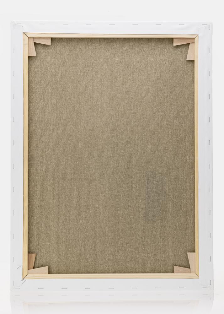 Slikarsko platno Premium Bela 60x80 cm