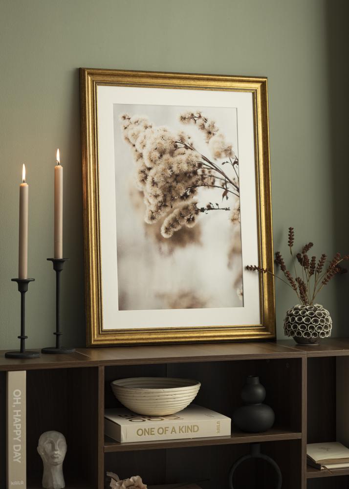 Okvir Rokoko Akrilno steklo Zlata 50x50 cm