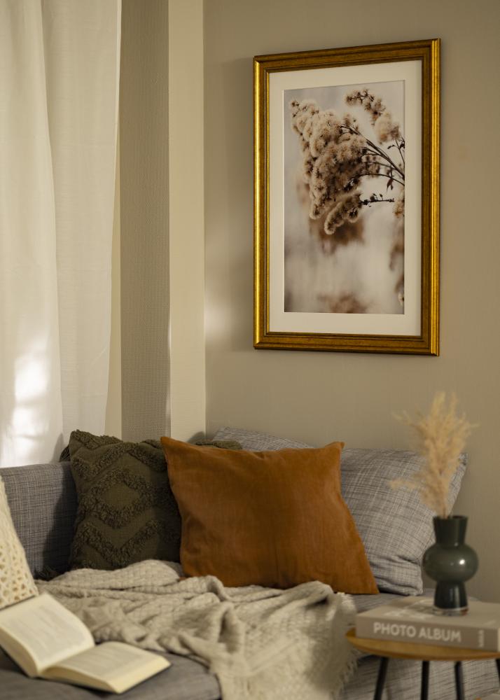 Okvir Rokoko Akrilno steklo Zlata 50x50 cm