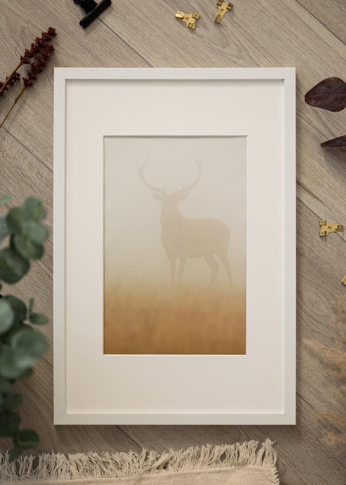 Okvir Modern Akrilno steklo Bela 30x45 cm