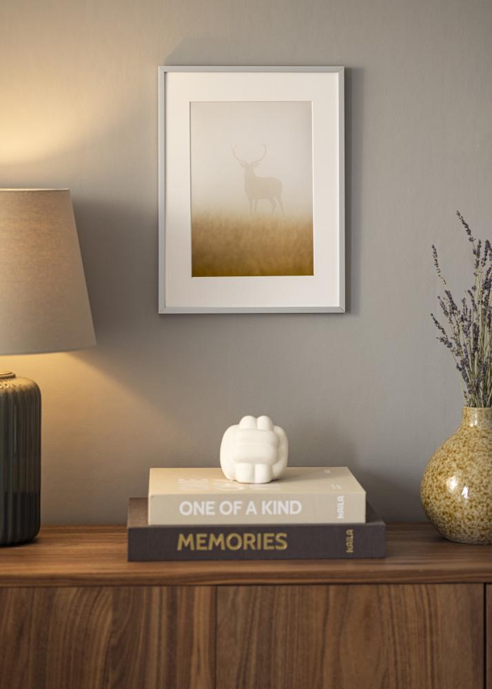 Ogledalo Helsingfors Srebrna - Lastne mere