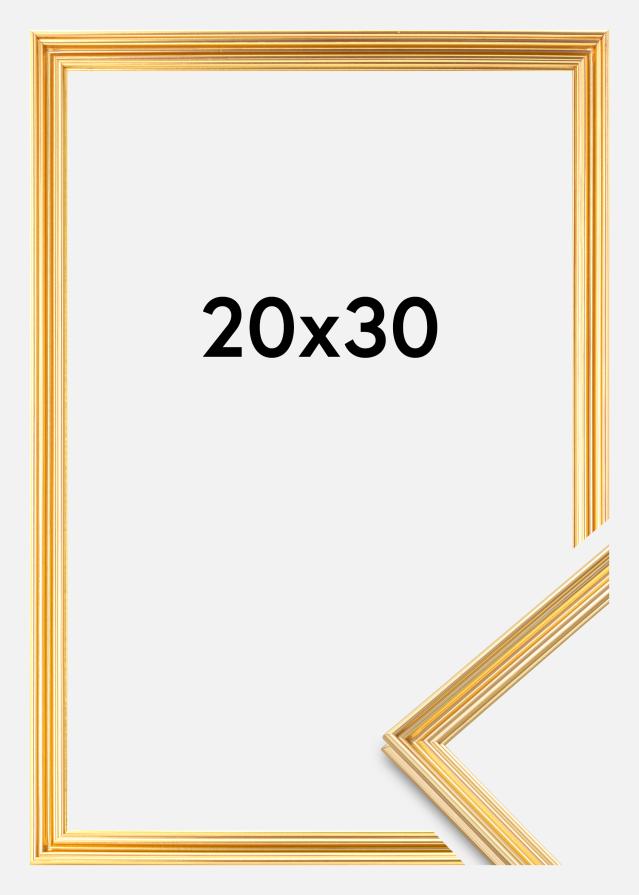 Okvir Verona Zlata 20x30 cm
