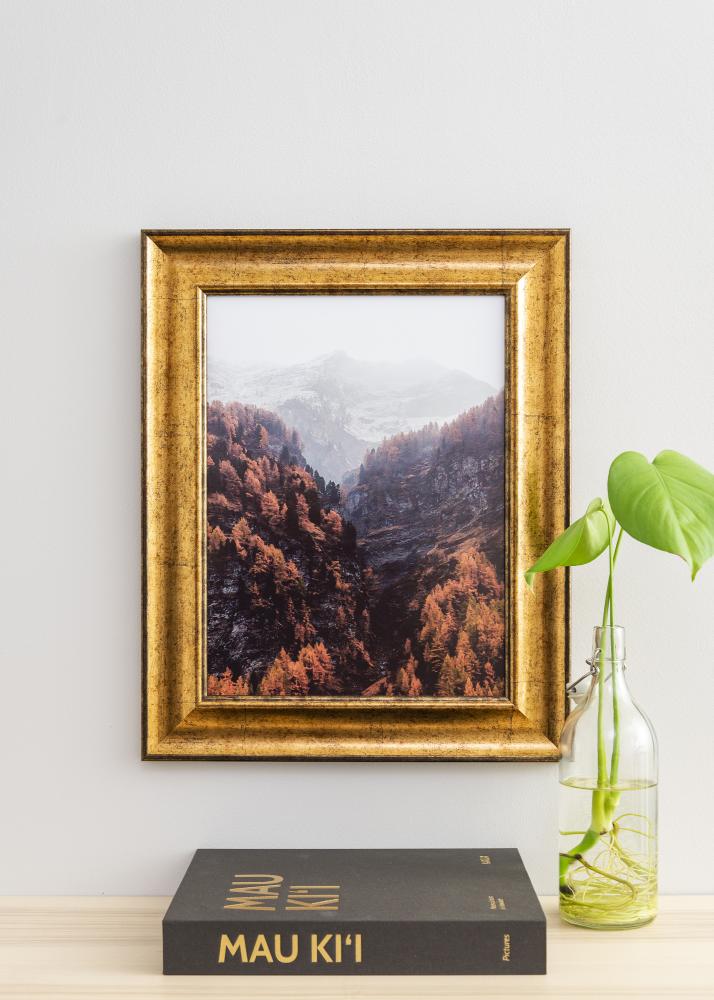 Okvir Saltsjöbaden Akrilno steklo Zlata 50x60 cm