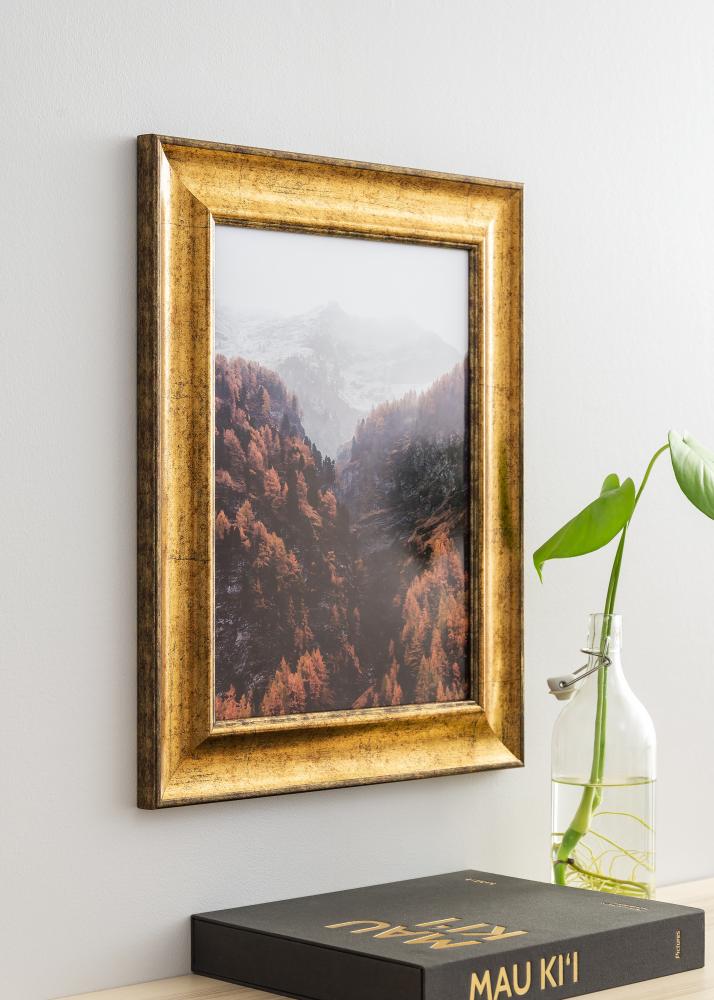 Okvir Saltsjöbaden Akrilno steklo Zlata 50x60 cm