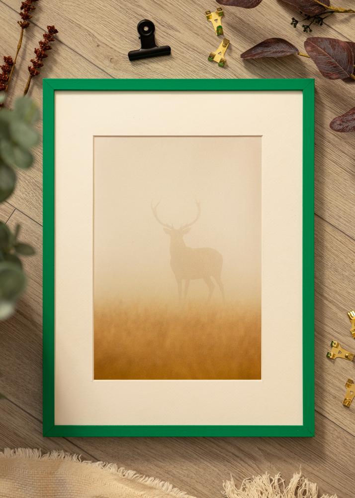 Colorful Akrilno steklo Zelena 40x60 cm