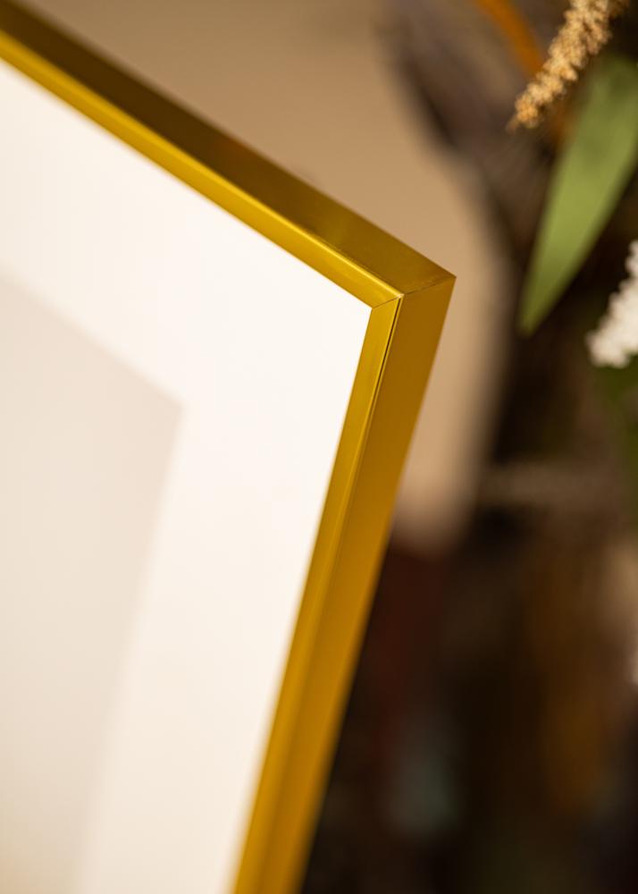 Aluminijast okvir Akrilno steklo Zlata 30x40 cm