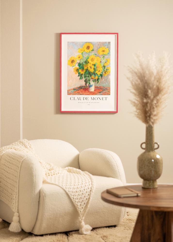 Okvir Diana Akrilno steklo Rdeča 45x60 cm