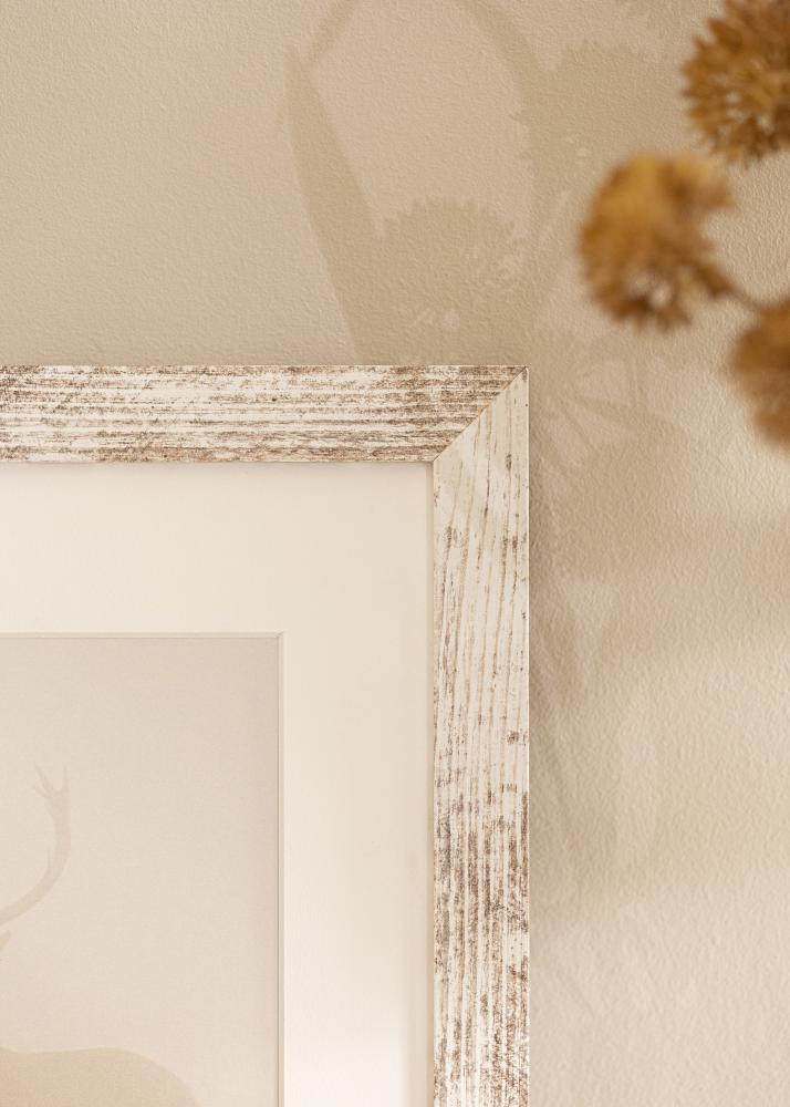 Okvir Izreden AA 10x15 cm