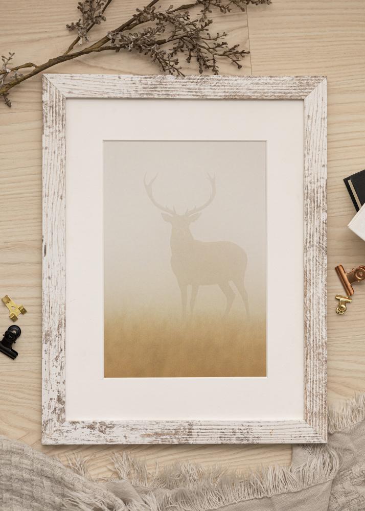 Okvir Izreden AA 10x15 cm