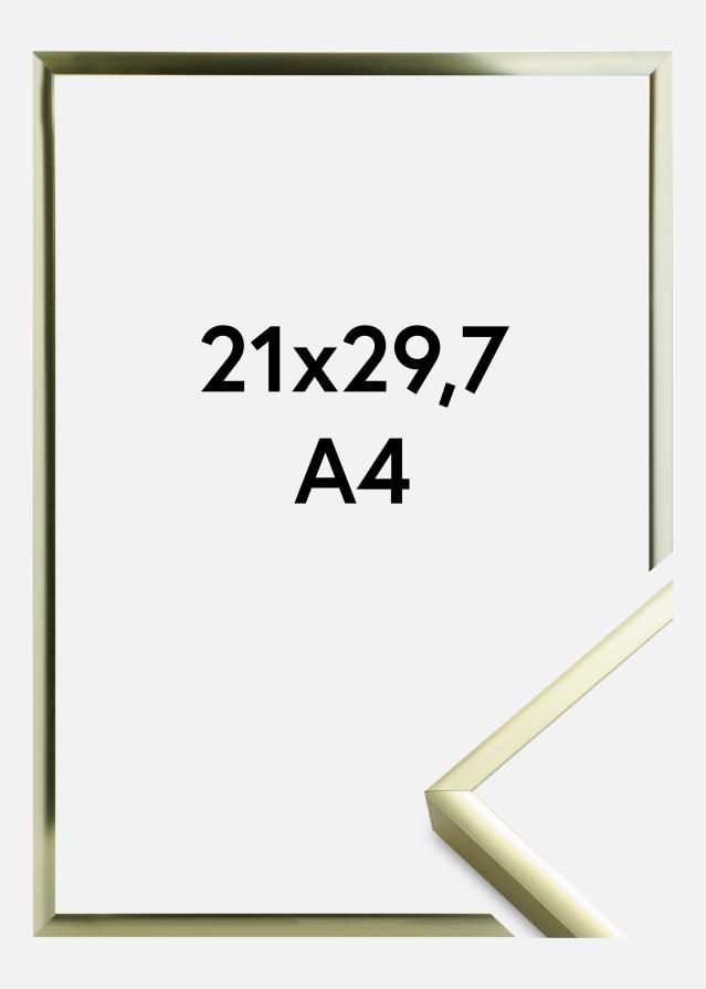 Okvir Poster Frame Aluminum Gold 21x29,7 cm (A4)