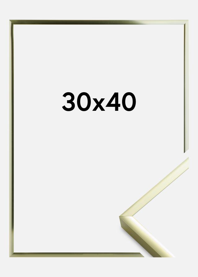 Okvir Poster Frame Aluminum Gold 30x40 cm