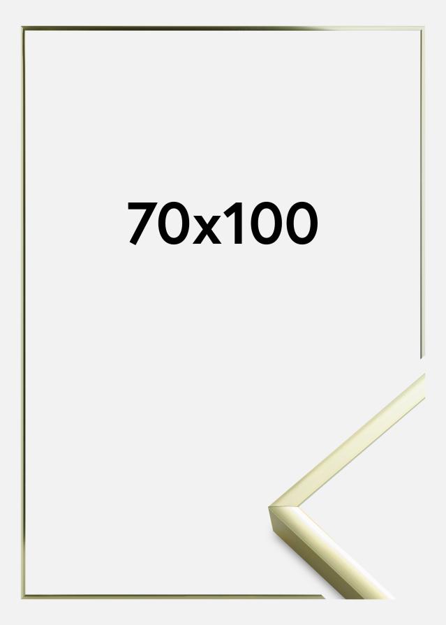 Okvir Poster Frame Aluminum Akrilno steklo Gold 70x100 cm