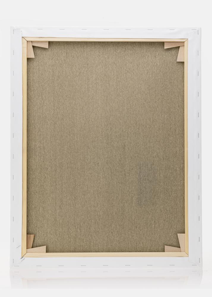 Slikarsko platno Premium Bela 40x50 cm