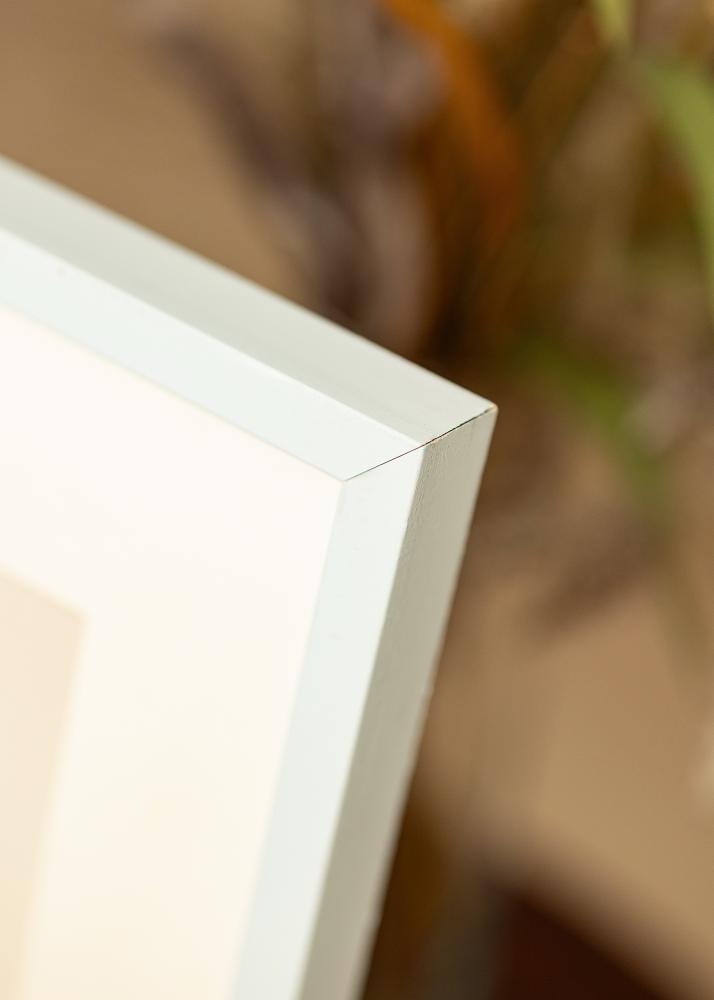 Colorful Akrilno steklo Turkozna 29,7x42 cm (A3)