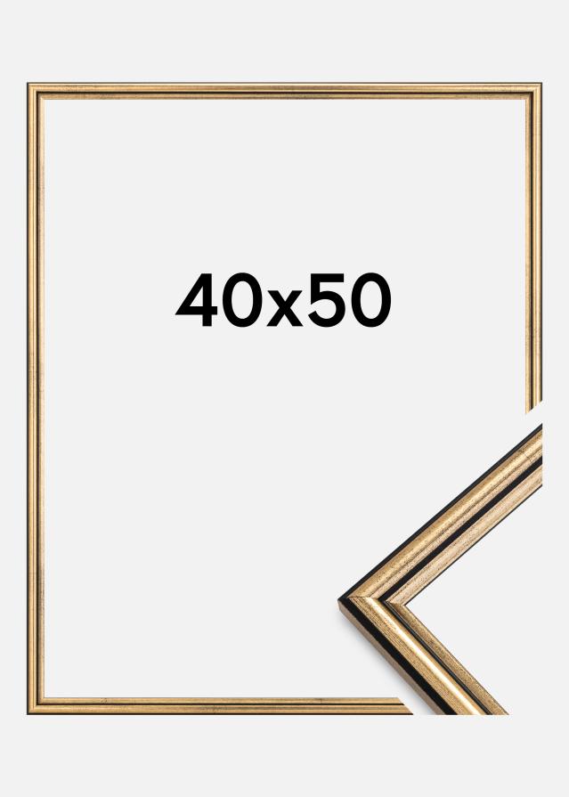 Okvir Horndal Zlata 40x50 cm