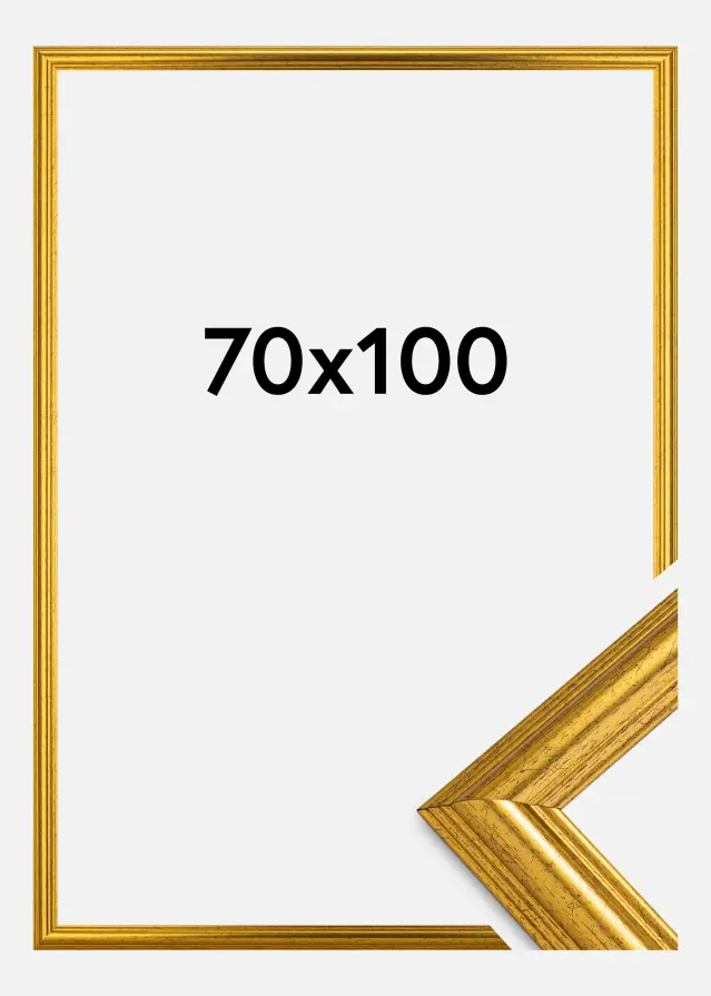 Okvir Västkusten Akrilno steklo Zlata 70x100 cm