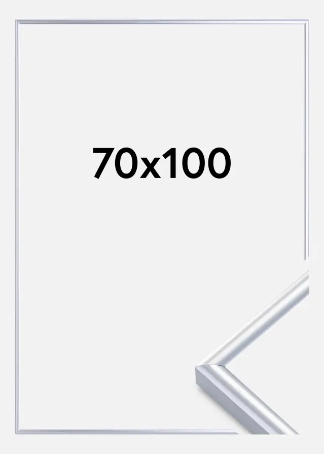 Okvir Victoria Akrilno steklo Srebrna 70x100 cm