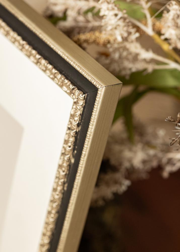 Okvir Drottningholm Srebrna II - Poljubna velikost