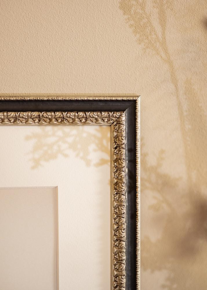 Okvir Drottningholm Srebrna II - Poljubna velikost