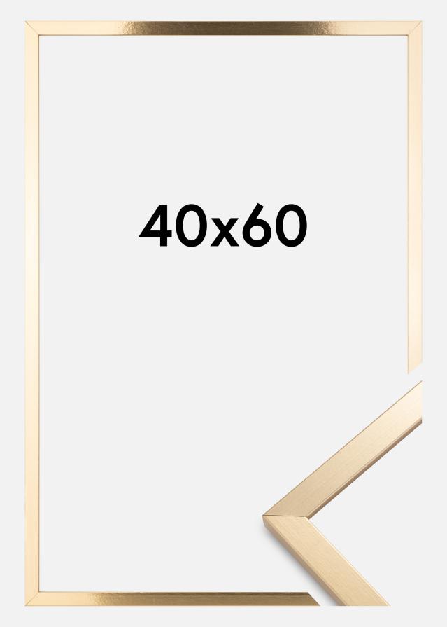 Okvir Trendy Zlata 40x60 cm